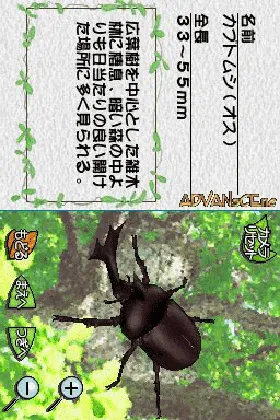 Mushi - Machi no Konchuu Monogatari (Japan) screen shot game playing